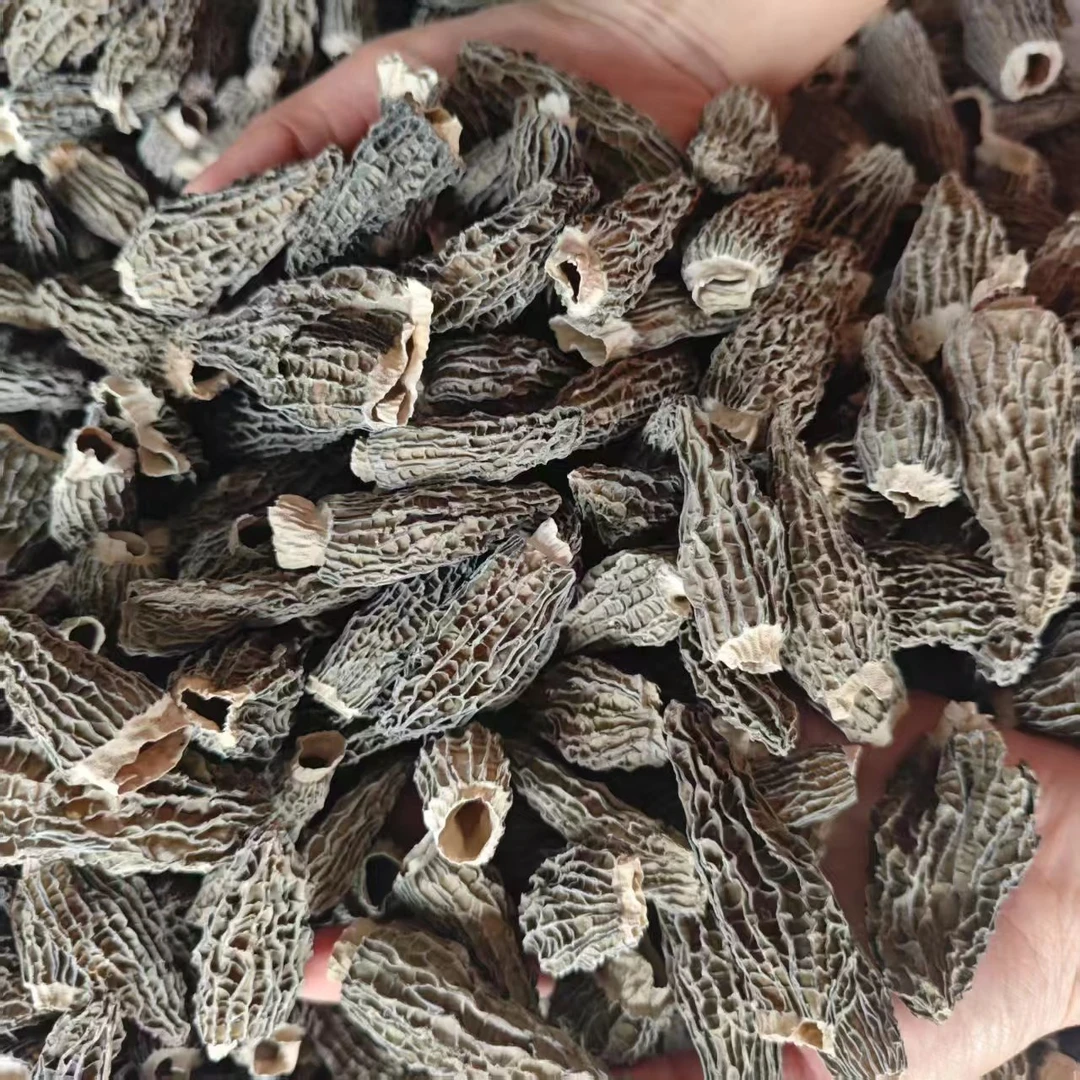 518380菇脚全剪干羊肚菌菌菇