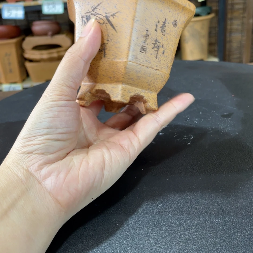 紫砂花盆你要好好