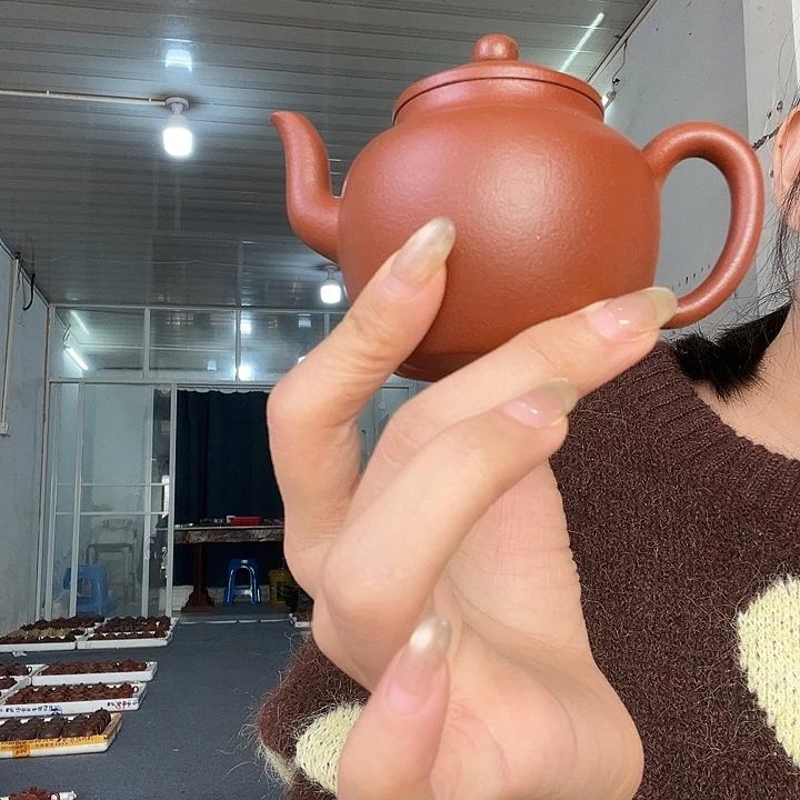 茶壶紫砂紫砂………………