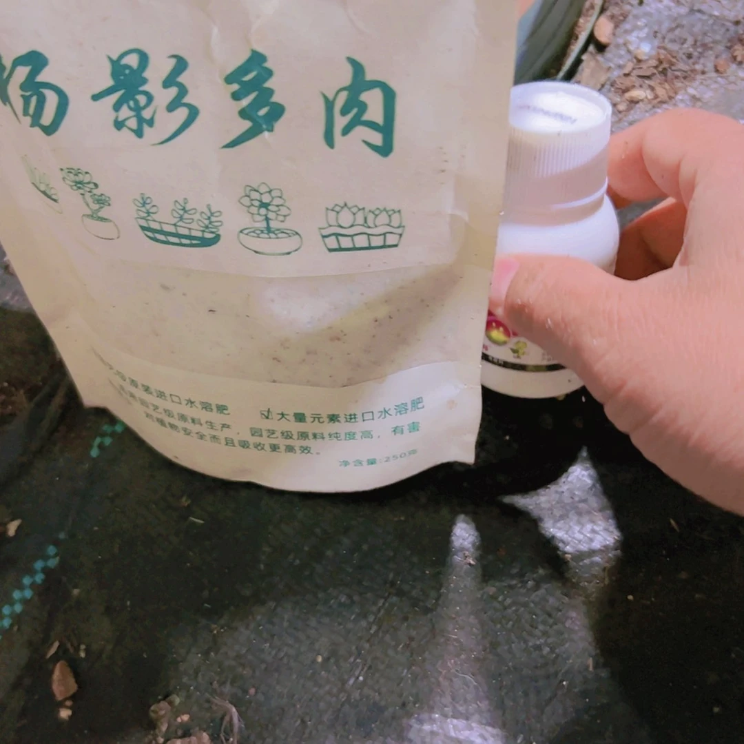 【闪购商品】营养水溶分杀菌