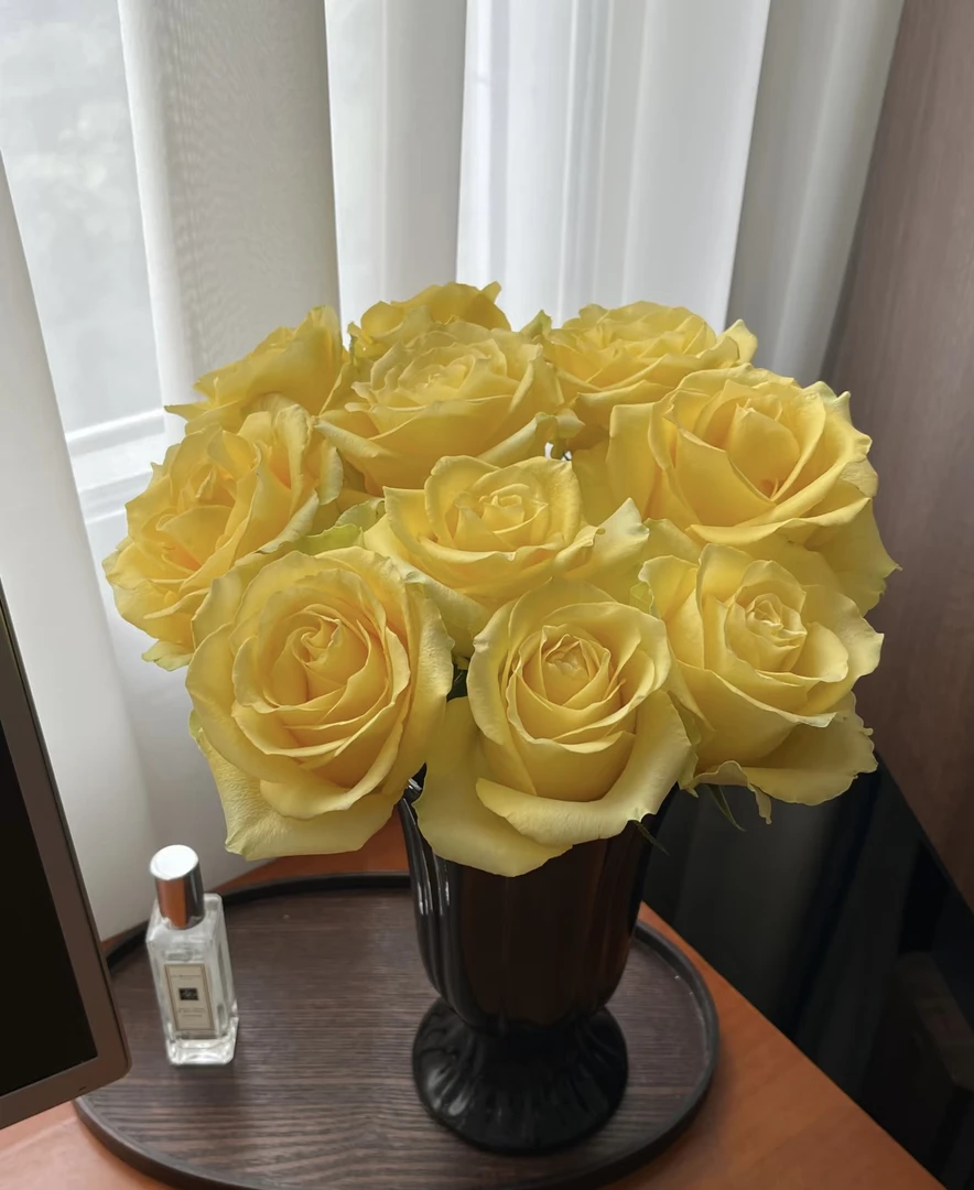 （单）浪漫沙滩 单头玫瑰充满阳光