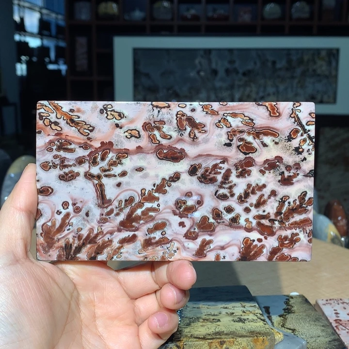 广西国画石摆件，观赏收藏