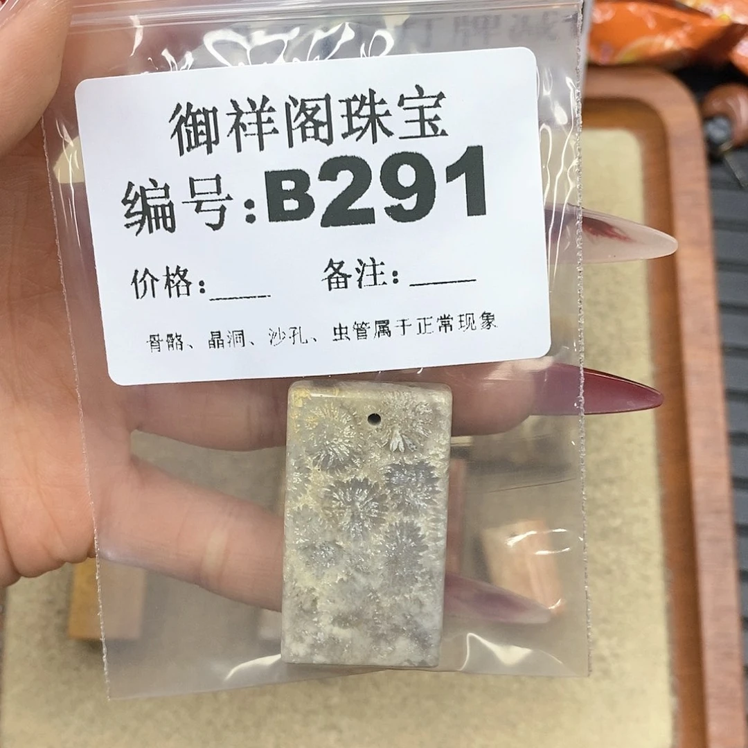 硅化珊瑚（珊瑚玉）颈饰未镶嵌ᕱ*ᕱ