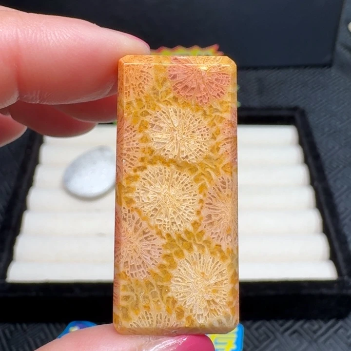 硅化玉未镶嵌吊坠(不含链)天然珊瑚玉