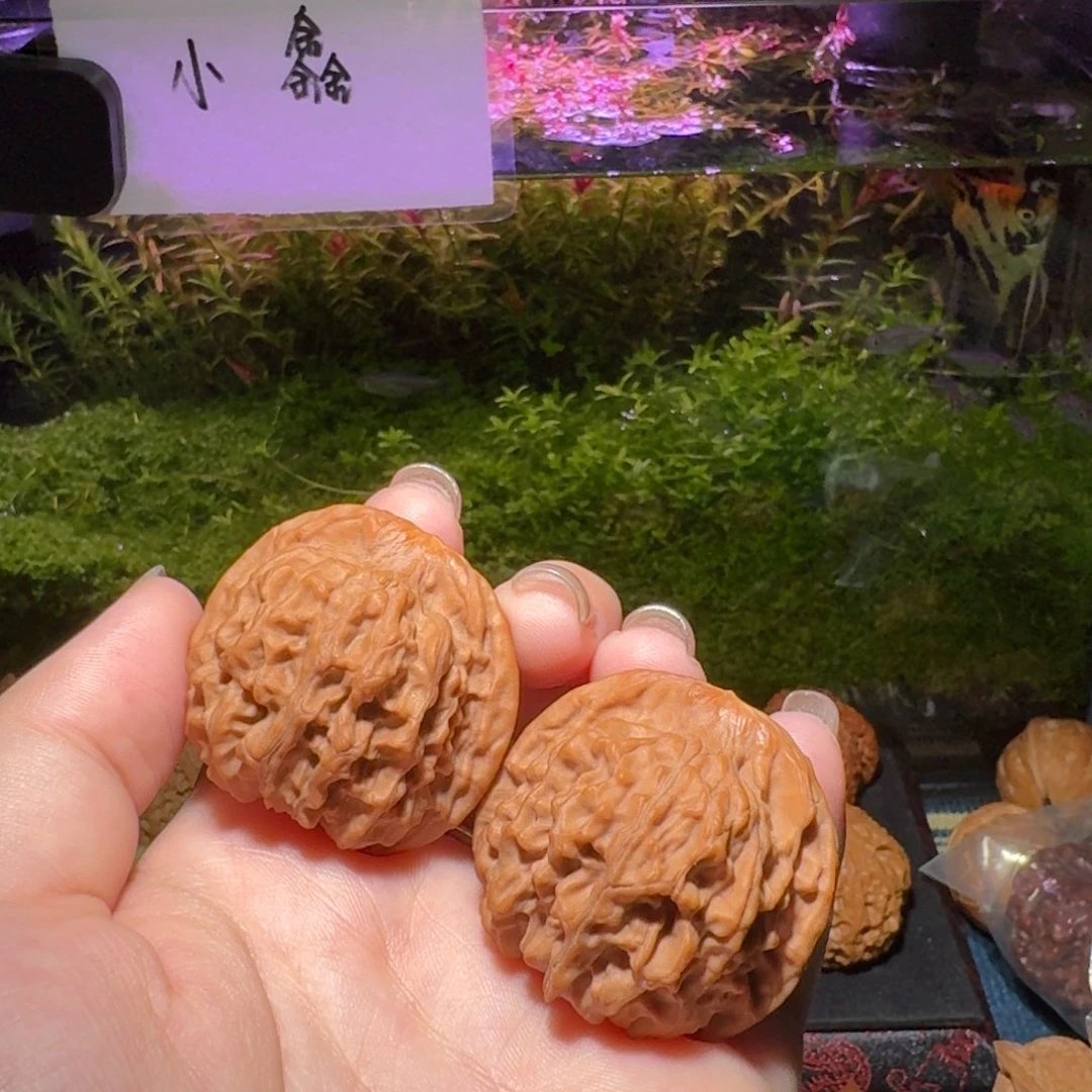 1608号40天地狮子头文玩核桃