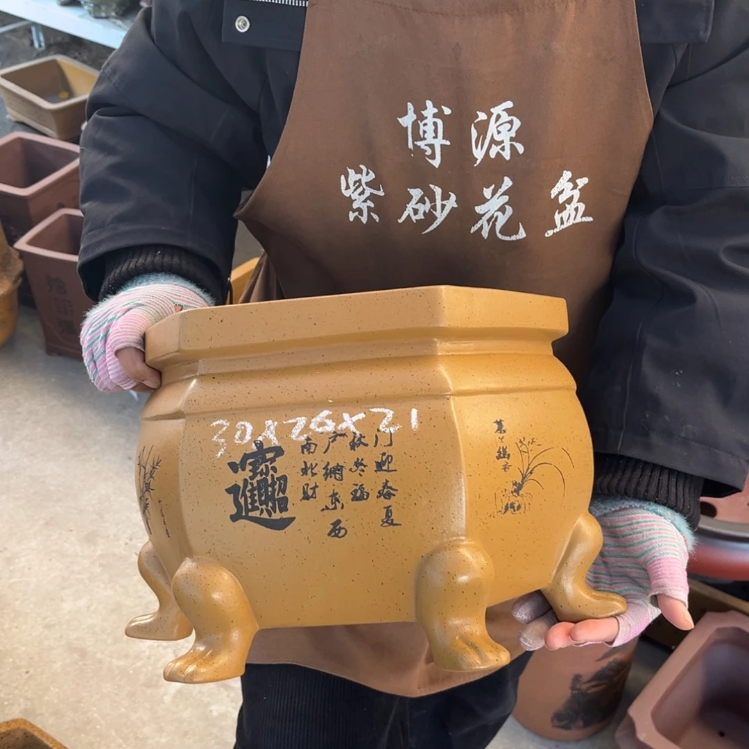花盆紫砂盆景艺术