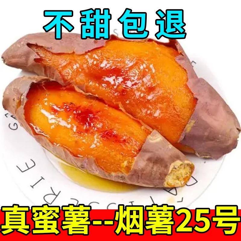 正宗山东烟薯25号蜜薯糖心红薯新鲜黄心番薯山芋软糯流油烤地瓜