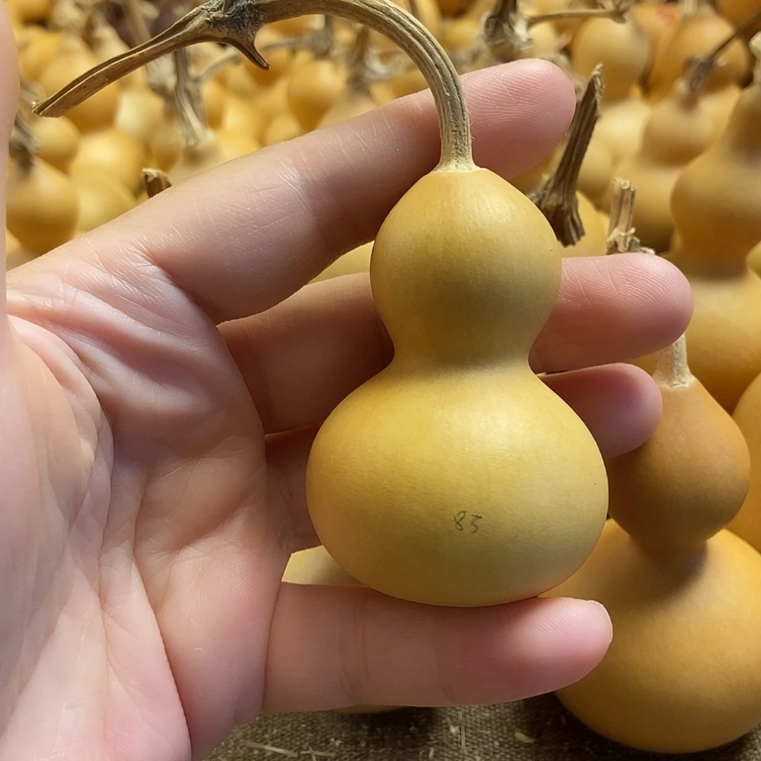文玩葫芦 完美主义者 慎拍83