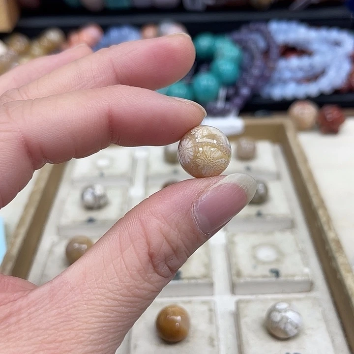 未镶嵌手串硅化珊瑚（珊瑚玉）三*419