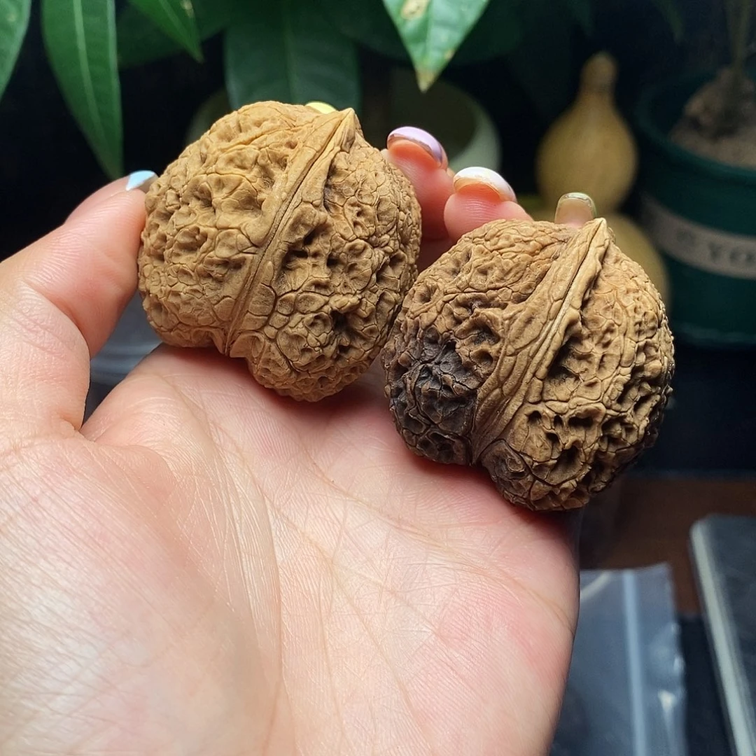 文玩核桃把件粗筋40mm