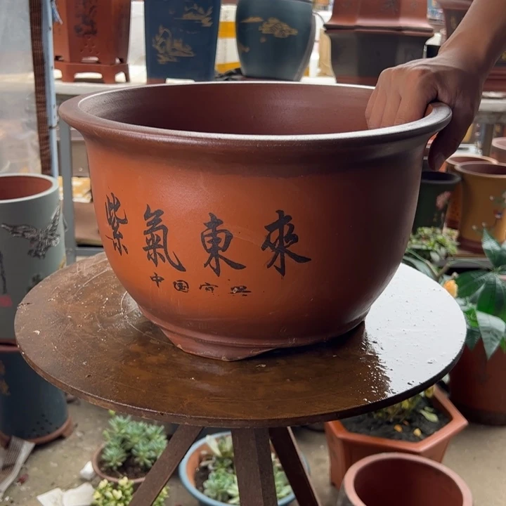 30紫气东来花盆花盆