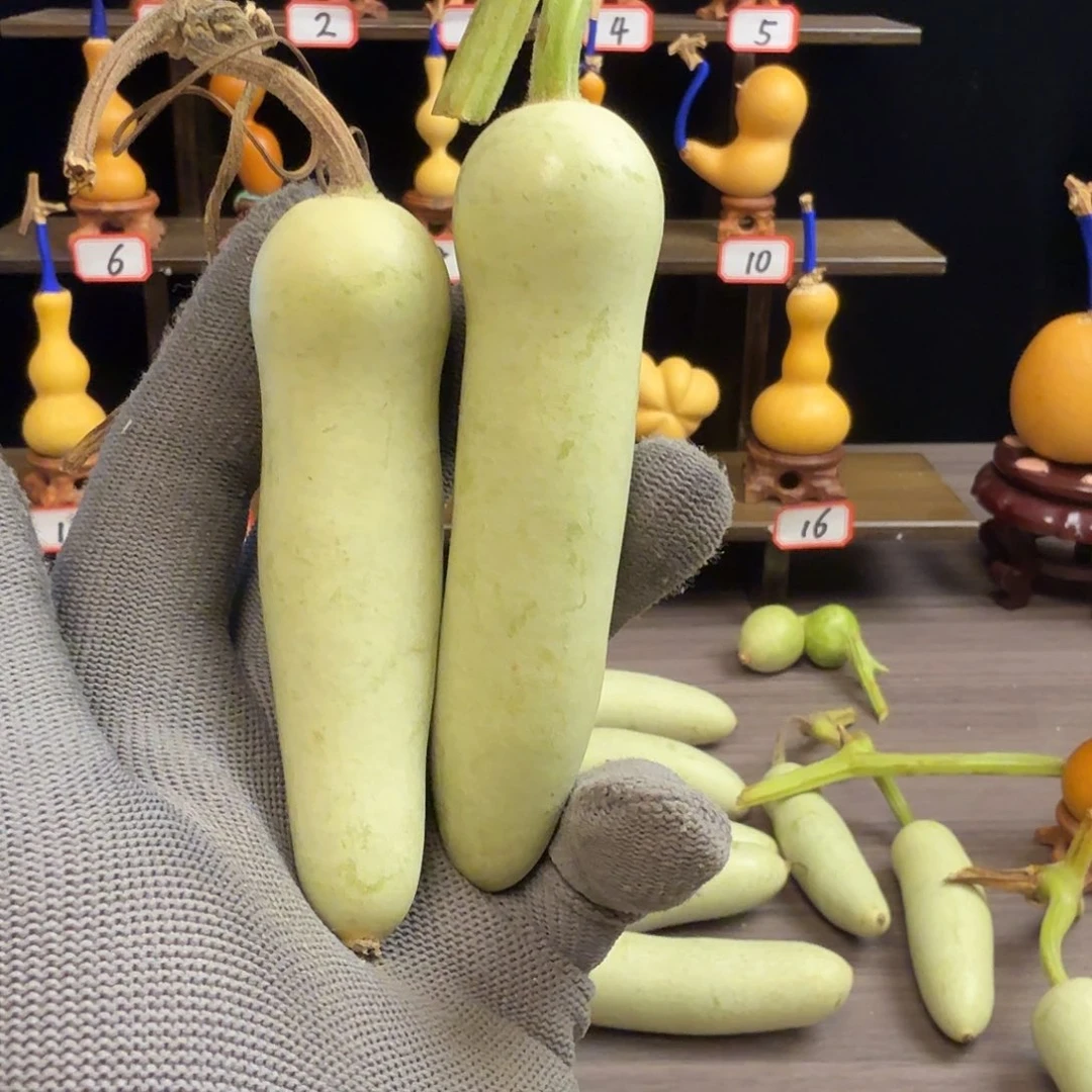 解***药木远扬工艺葫芦小店