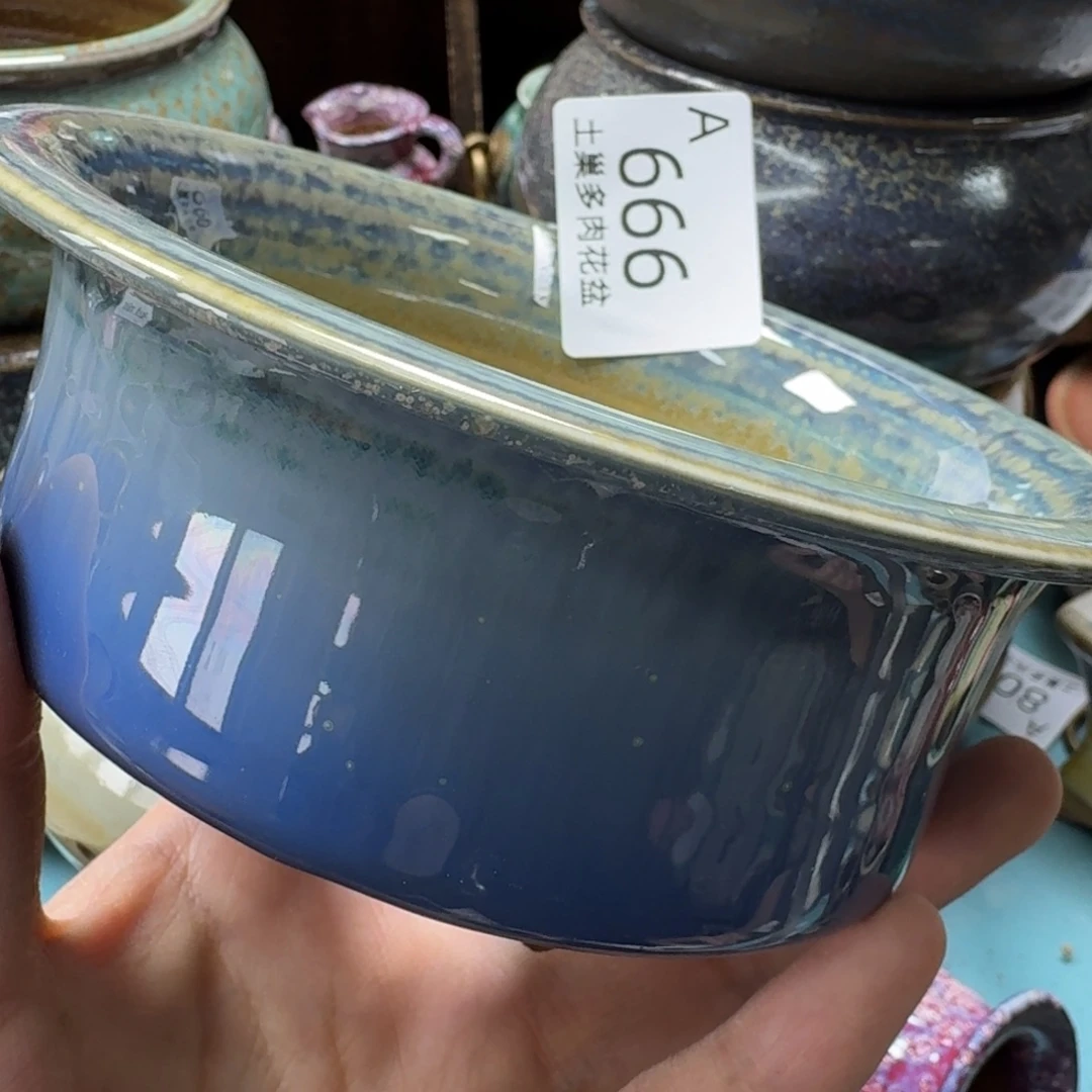 ****肉陶瓷艺术品设计与制作