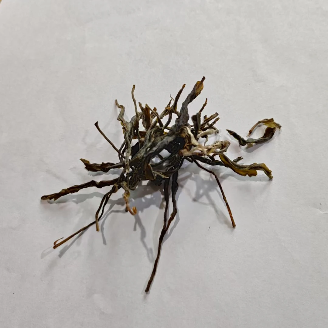【12号】2025年 三家村 纯品古树 林茶 散茶（通用链接）