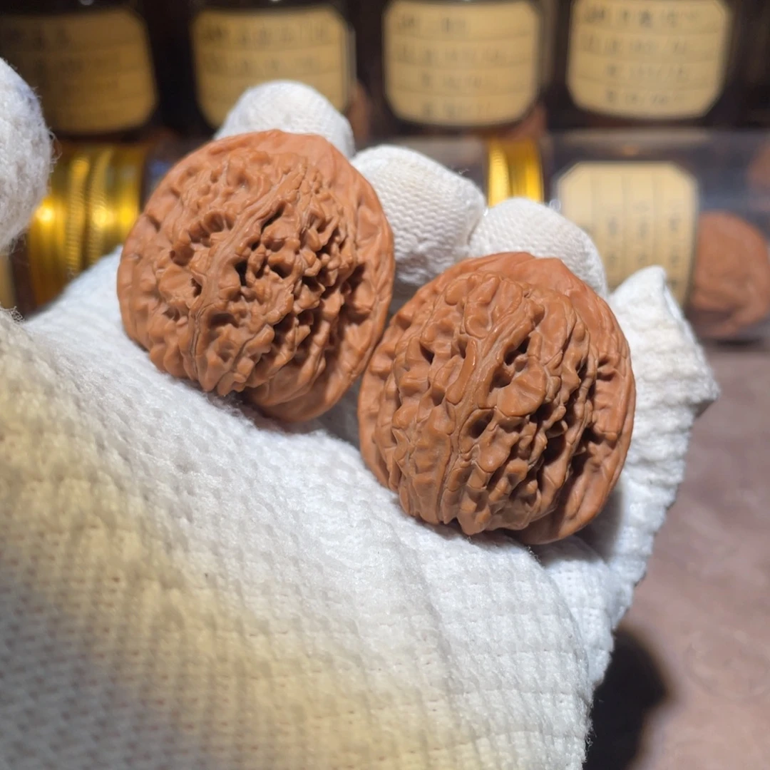 核桃39汗高楼llllll