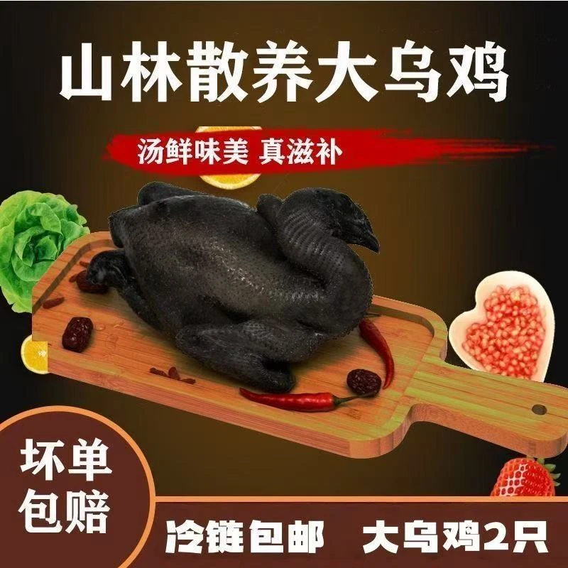 【顺丰包邮】农户散养乌鸡新鲜现杀白羽鸡乌骨鸡煲汤整只包邮