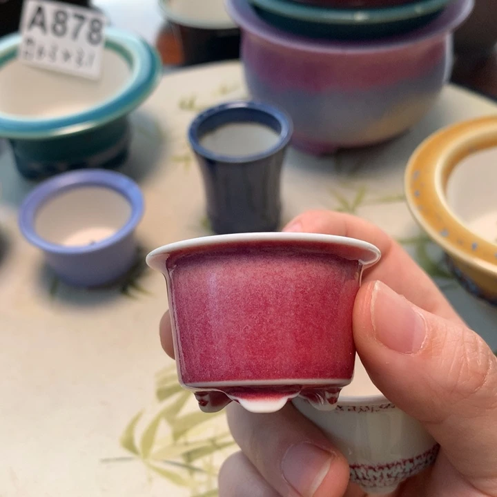 四***春陶瓷花盆 一物一拍