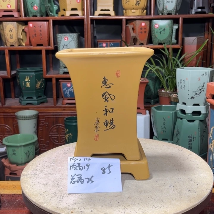 無**玳关注陶霸廊精品紫砂
