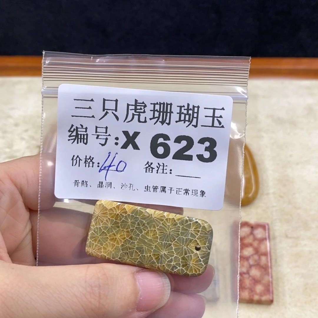 硅化珊瑚（珊瑚玉）1未镶嵌流**日