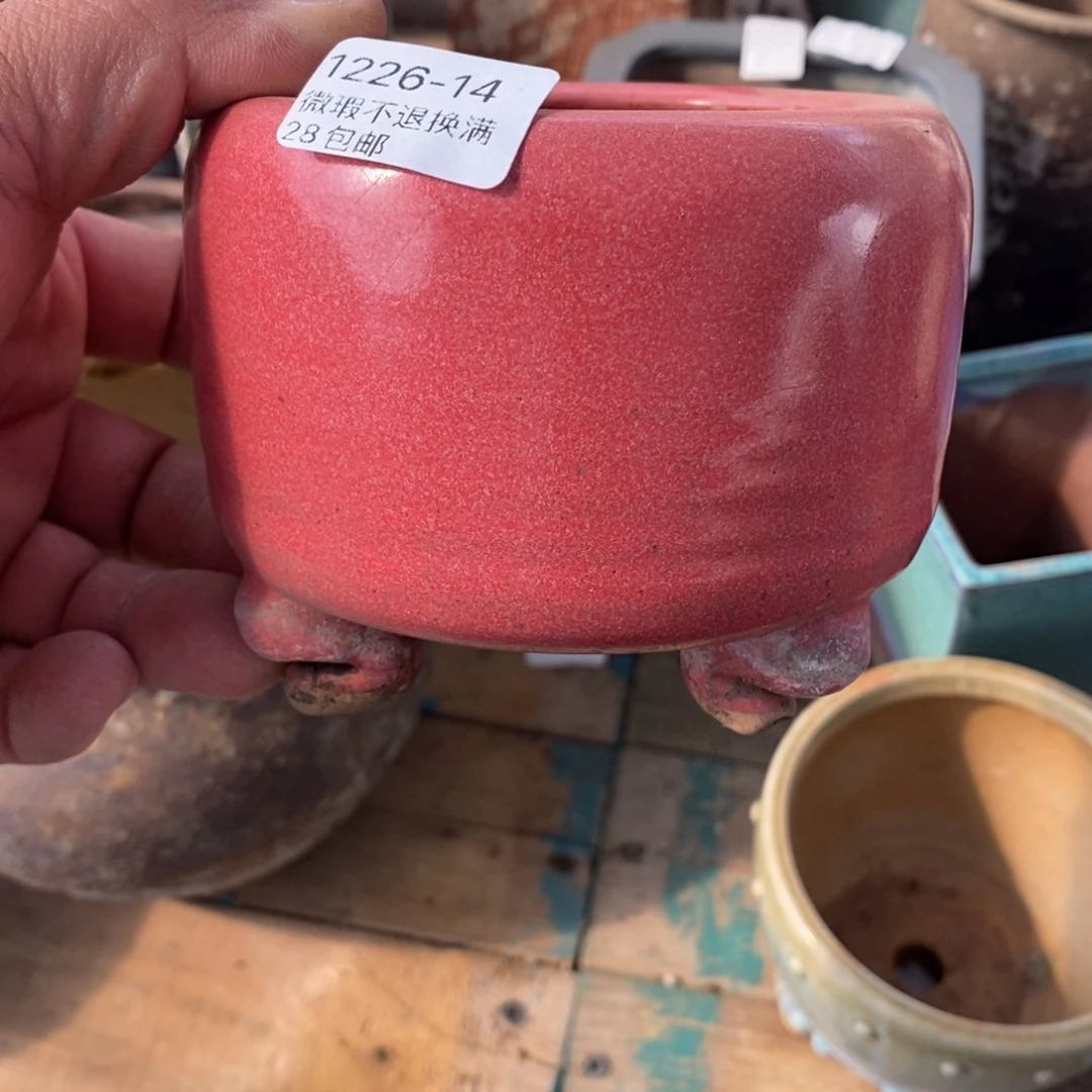 14号东云内7高9花盆