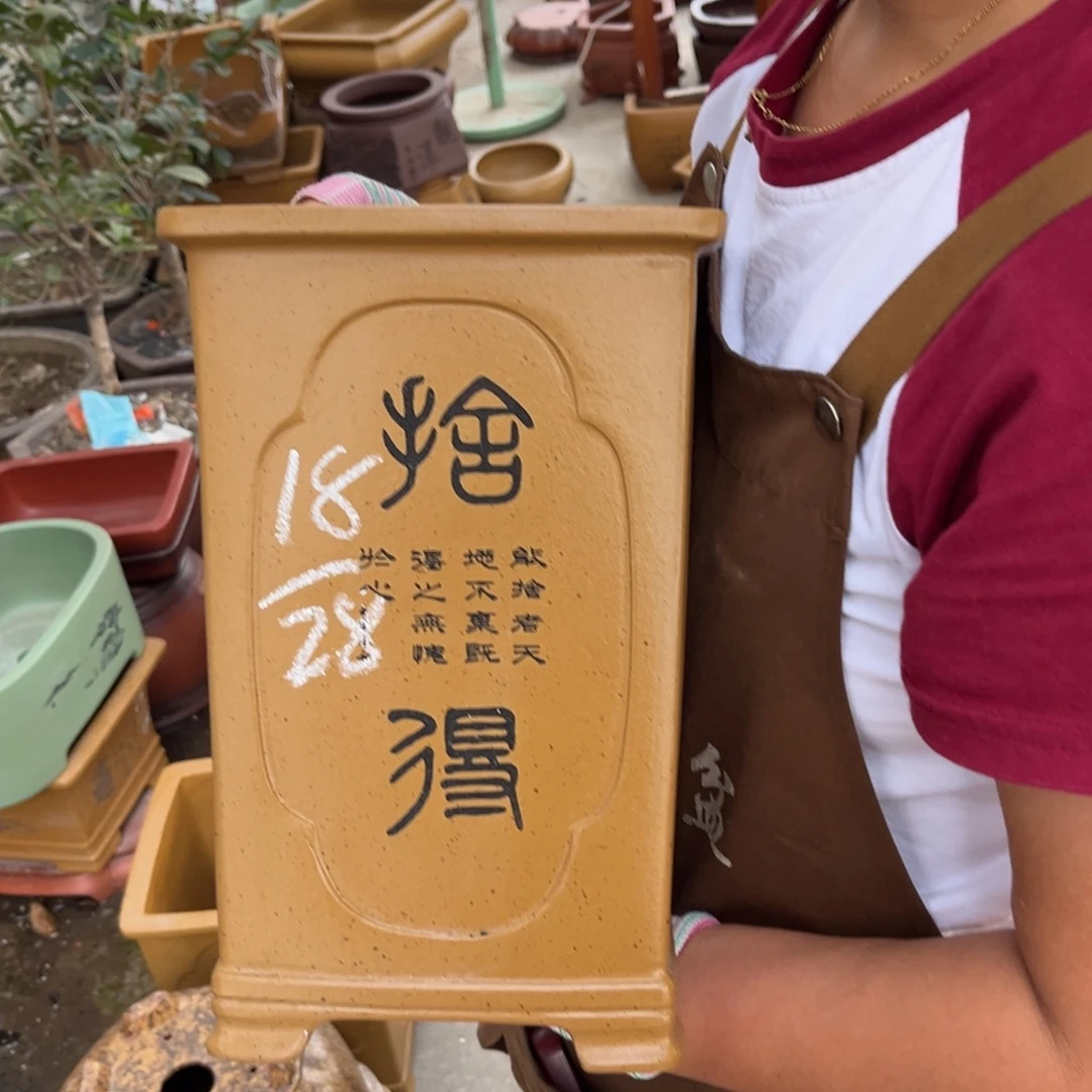 紫砂花盆盆景艺术
