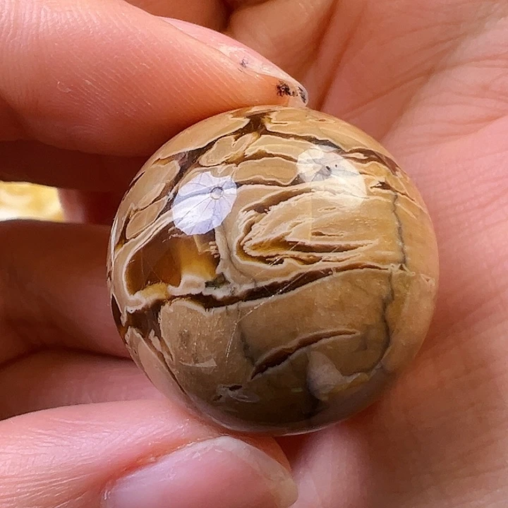 蜜蜡颈饰未镶嵌蜜蜡