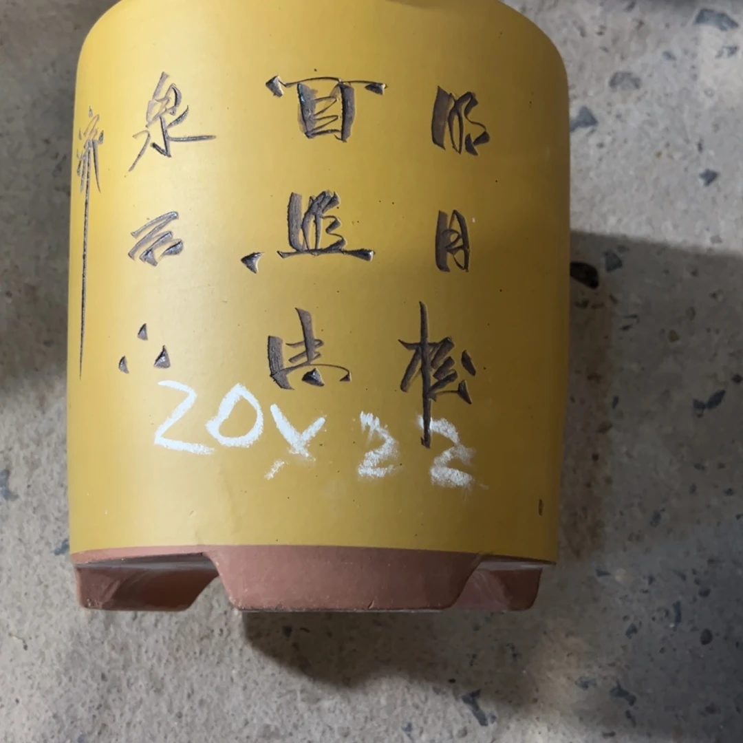 紫砂工艺厂……紫砂工艺厂……