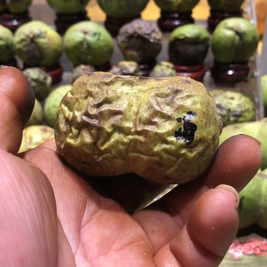 吊坠桃核核桃核桃