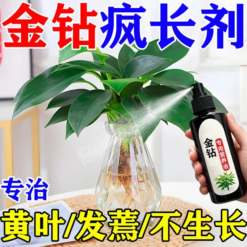 专治黄叶】大叶金钻专用营养液治枯萎落叶不发芽不开花肥料诱捕器