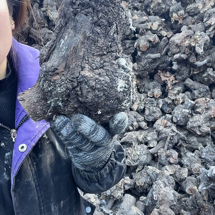 香榧木发个信息给我嘛我