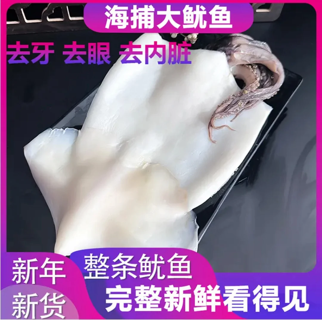 无泡药 连云港新鲜海捕去皮去内脏鱿鱼