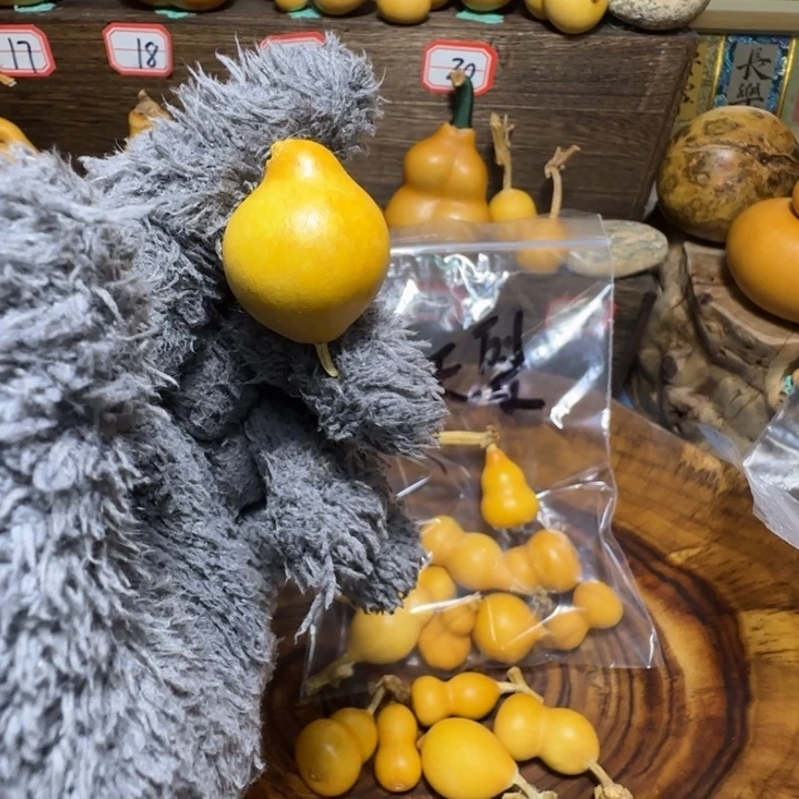 酱***y小胖鸟天然葫芦葫芦葫芦