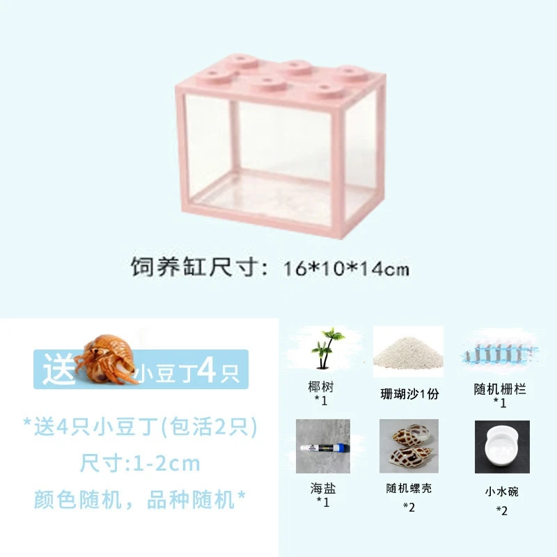 活体寄居蟹宠物饲养箱套餐专用沙儿童礼物生态缸小宠物便宜好养活