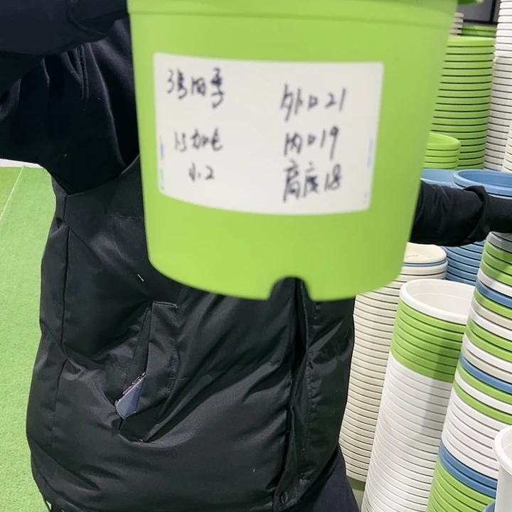 特价3号口21高18果绿色10只无托