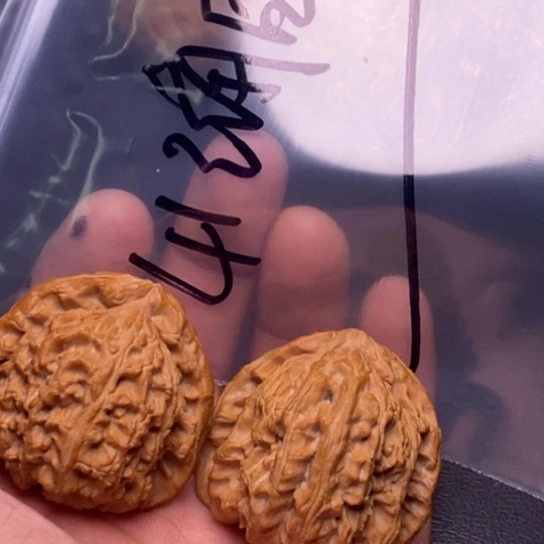 【闪购商品】把件文玩核桃白狮子