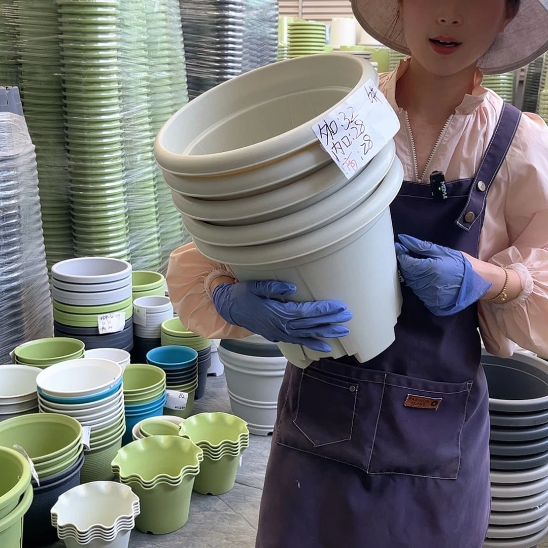 青山盆6#米白色5个无托