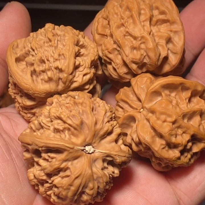 大叶紫檀（黑酸枝木类）