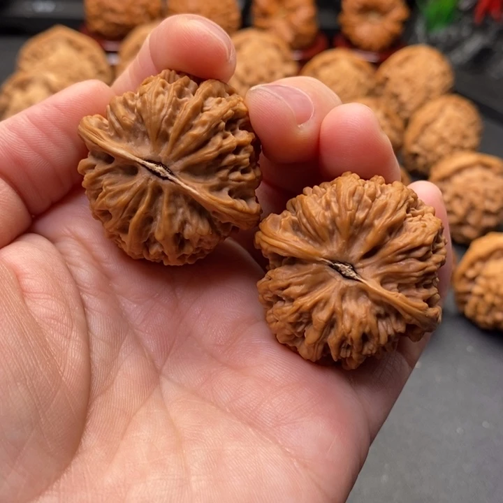 文玩核桃把件37尺麒麟枕原树野核