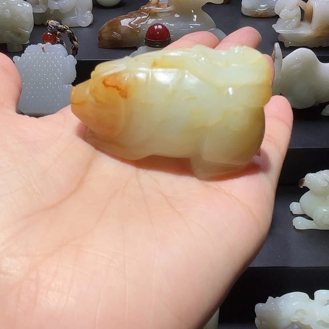 缸一物一图 所见所得