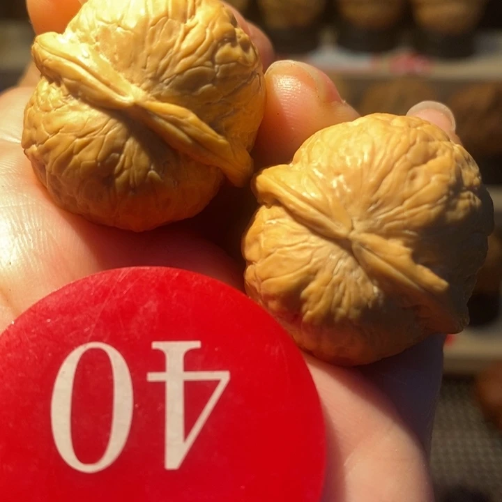 6号链接小星球30尺寸