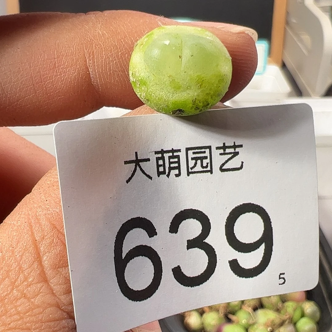 0000639 一物一拍……