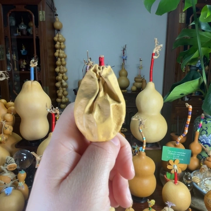 抽抽小可爱葫芦厚皮