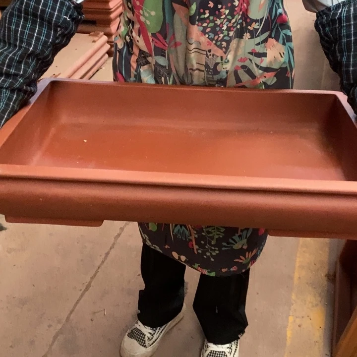 紫砂花盆只顾看手机的小