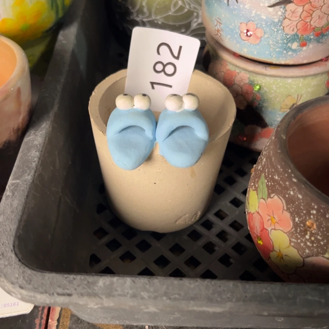 8***1182多肉花盆   1个