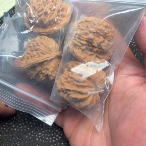 文玩核桃把件西楼3.3