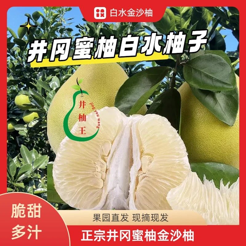 【已售馨】井冈蜜柚白水金沙柚江西吉水特产金兰柚清甜多汁原生态