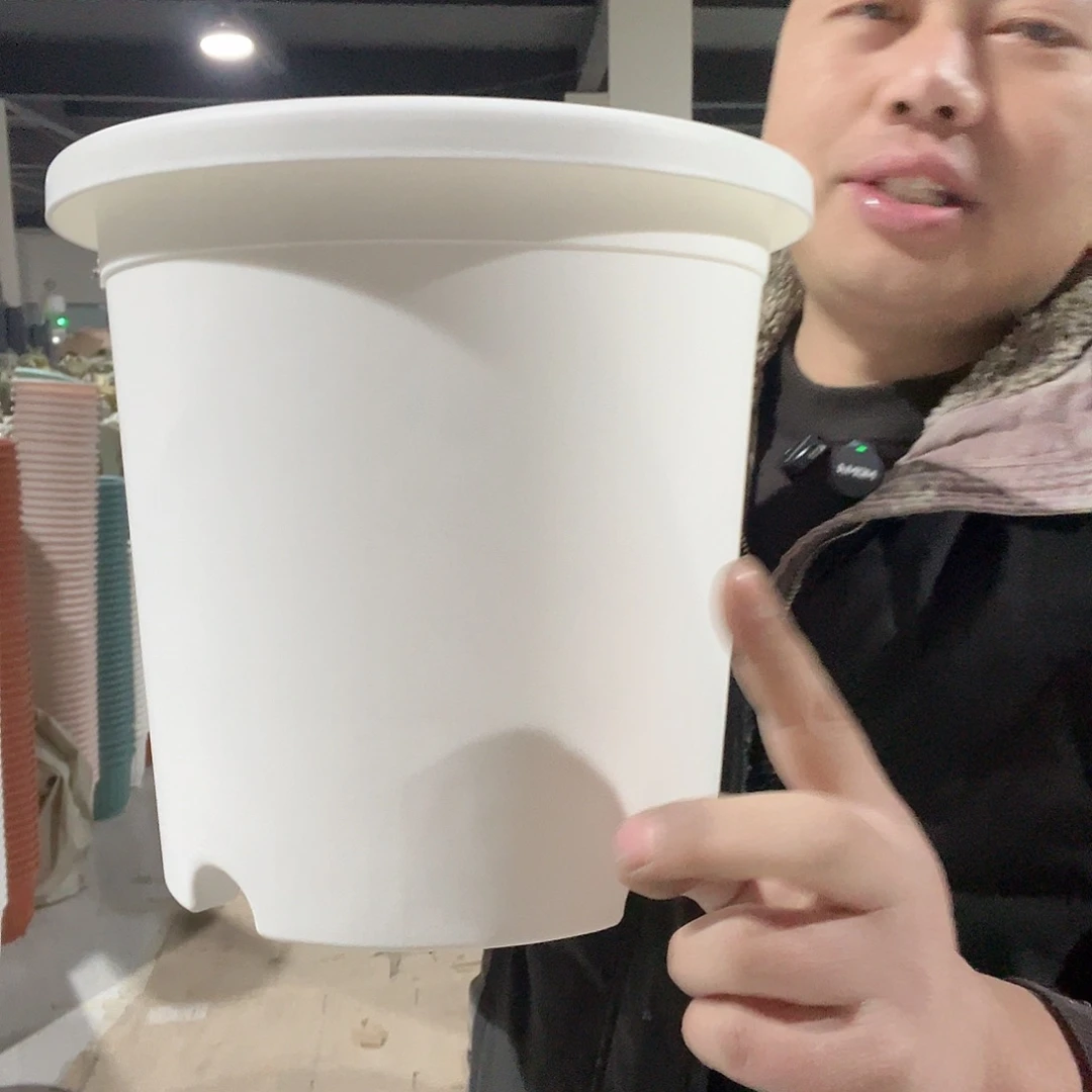 树脂圆4号白4个无托