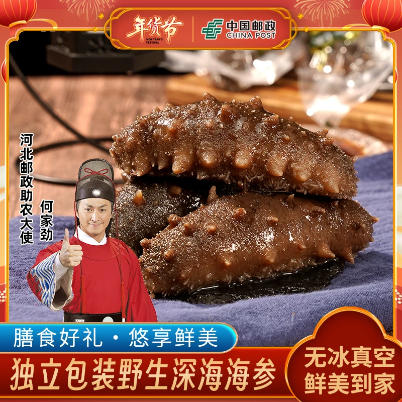 【河北邮政专属】营养滋补口感劲道鲜食海参秦皇岛特产4斤装