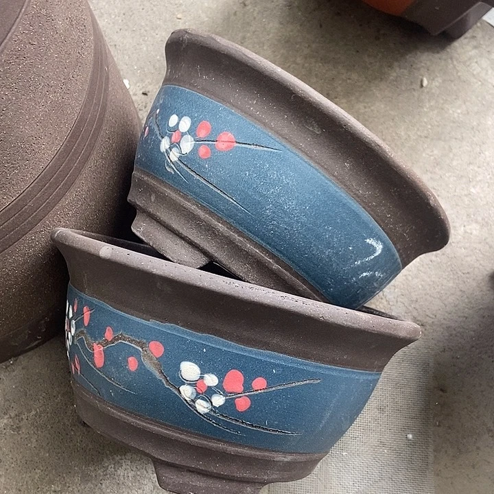 20花盆花盆将花盆花盆花盆