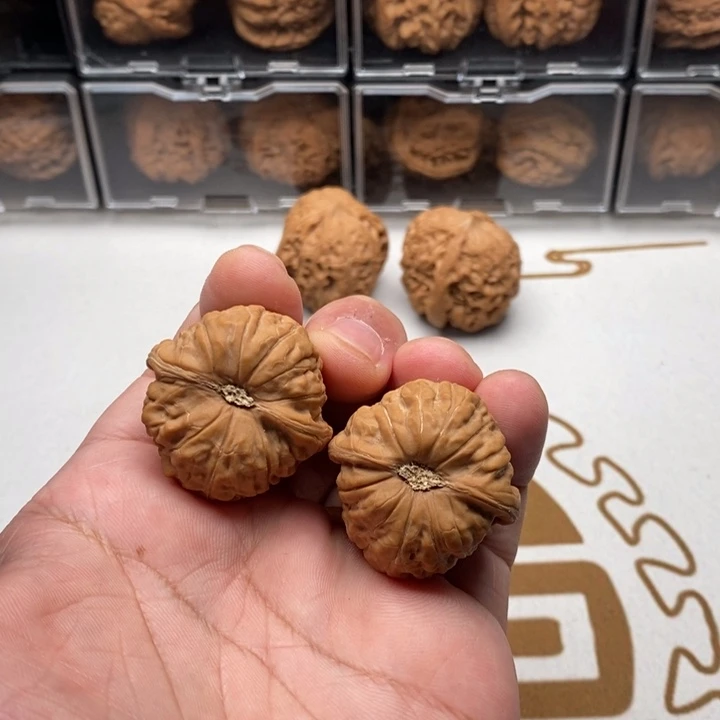 木质类35尺寸全品无修南瓜